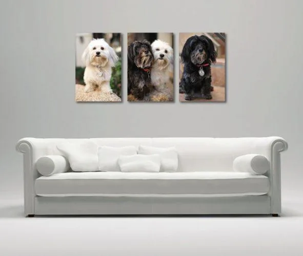 Tablouri Canvas